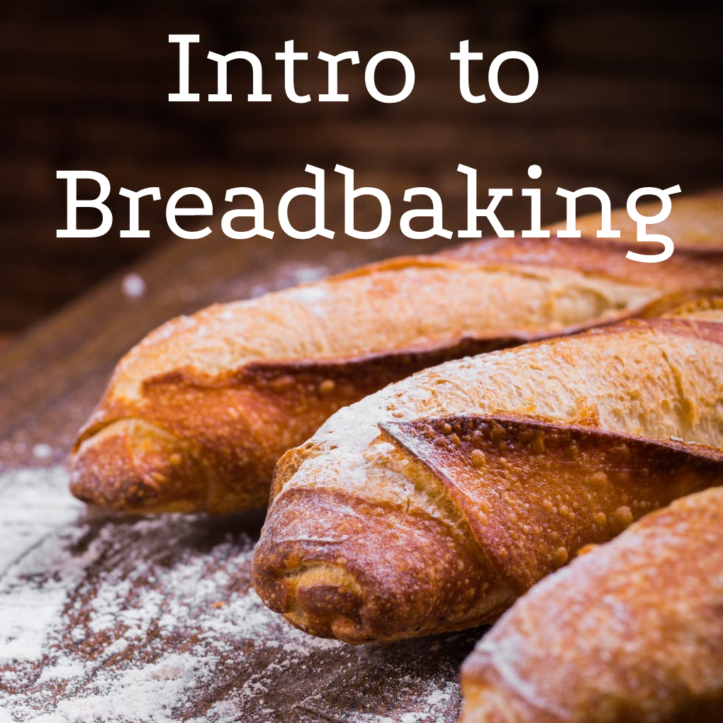 Intro to Bread Baking