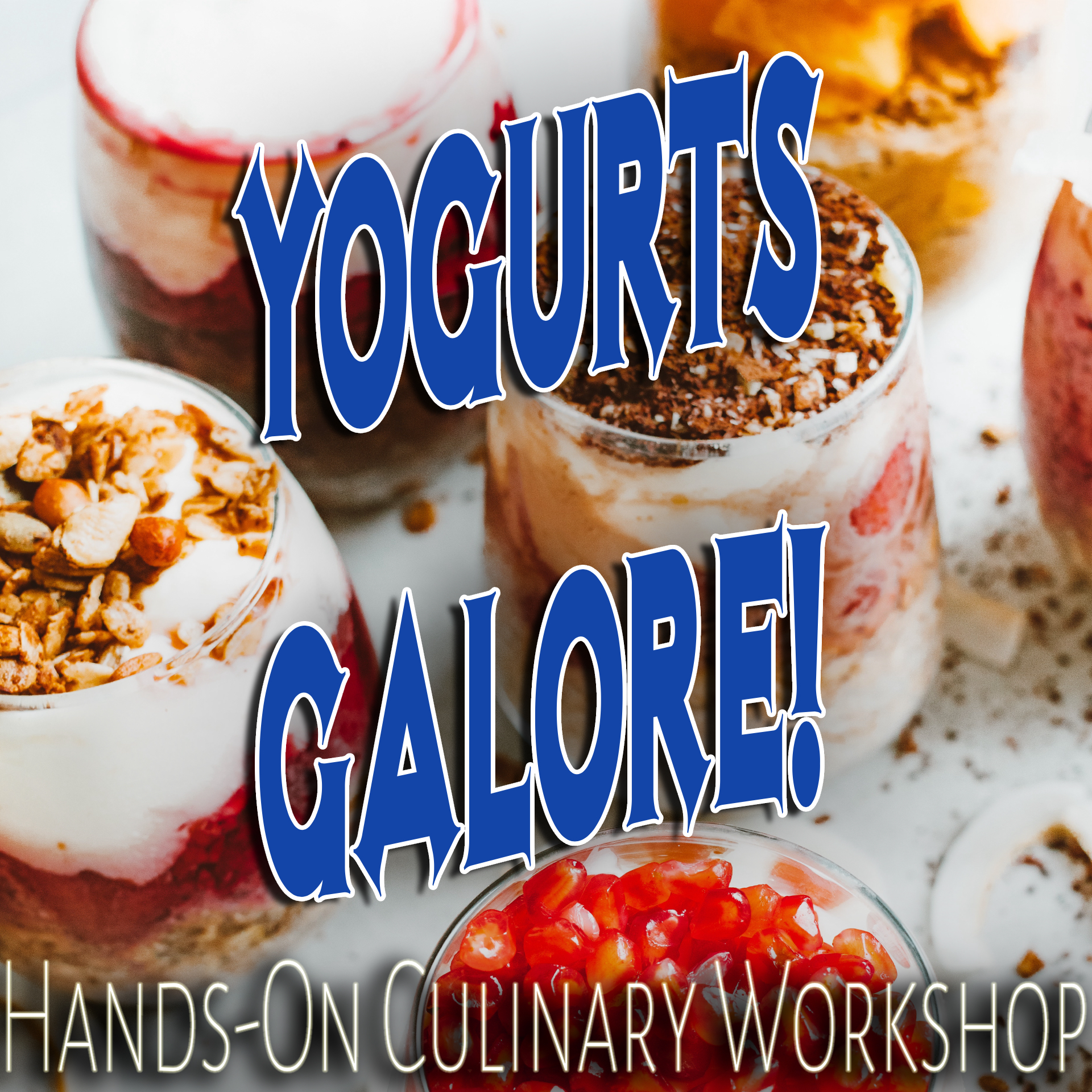 Yogurts Galore Hands-On Culinary Workshop